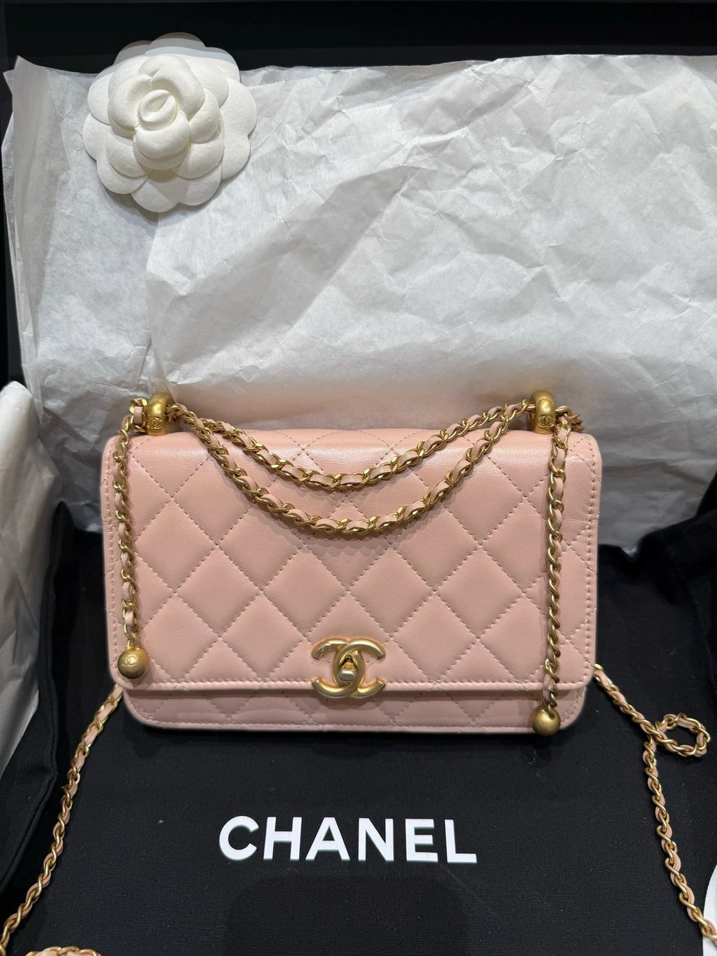 New CHANEL Sakura Pink Leather WOC Crossbody Bag For Women