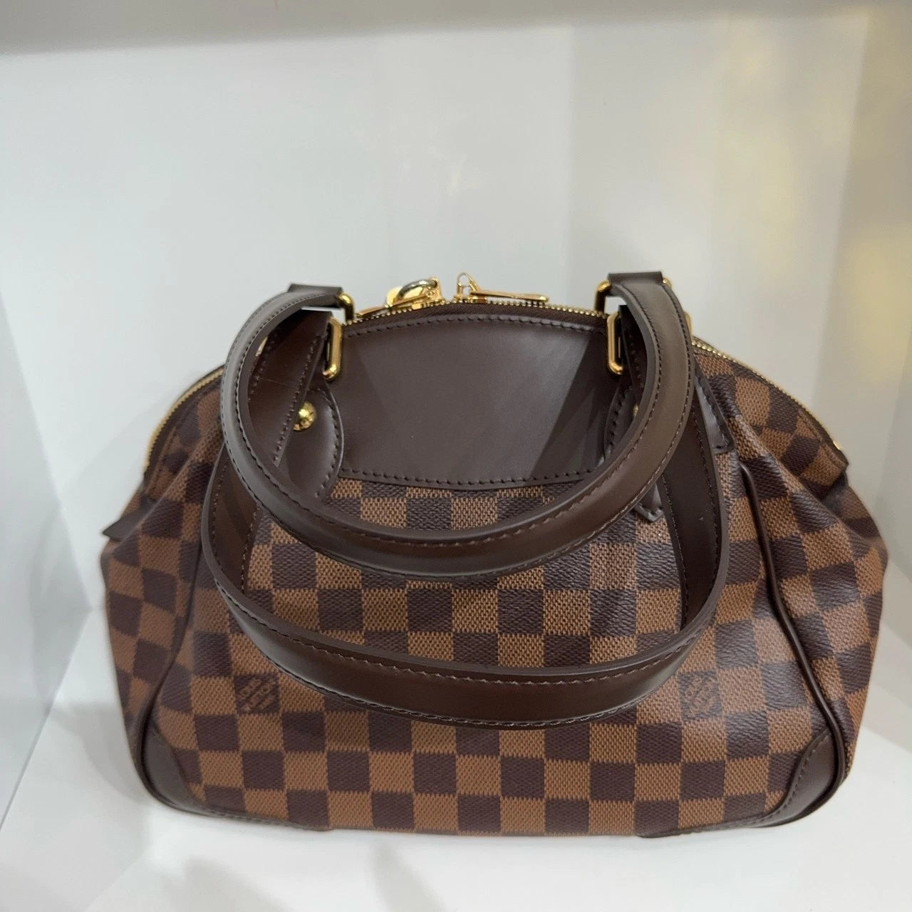Louis Vuitton Logo Embossed Brown Leather Mini Dumpling Handbag For Women