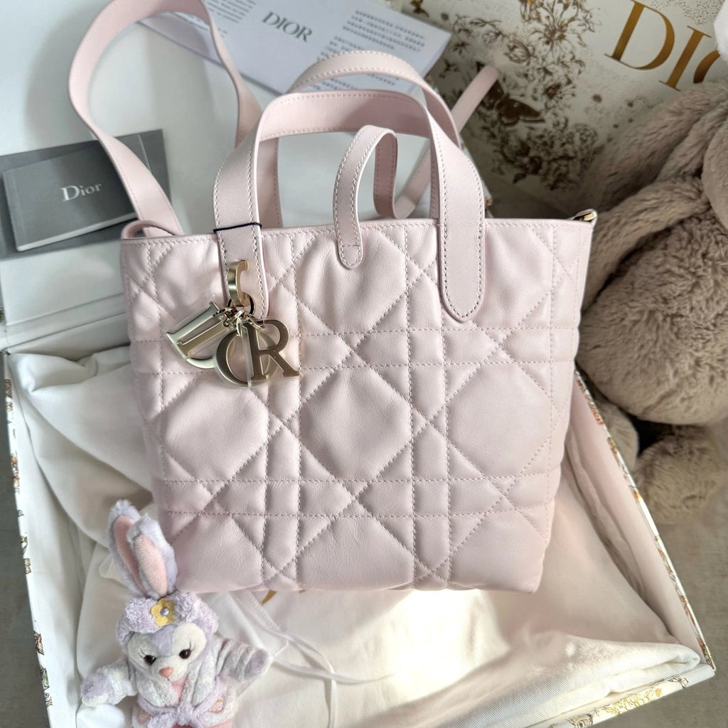 New Dior Toujours Vertical Small Sakura Pink Bag For Women