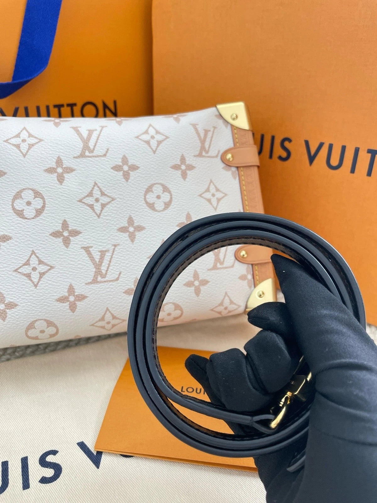Louis Vuitton Medium Dune Shoulder Bag For Women