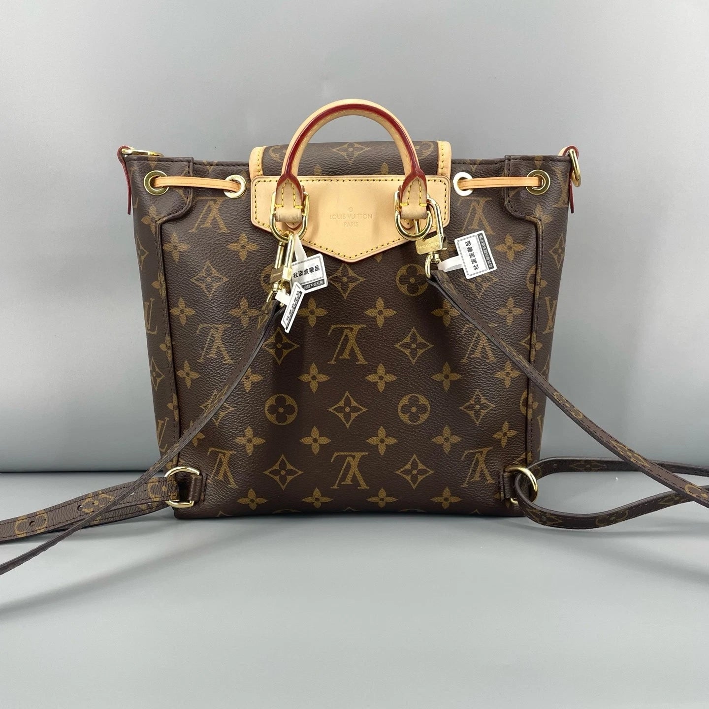 Louis Vuitton Canvas Frog Shoulder Bag For Women