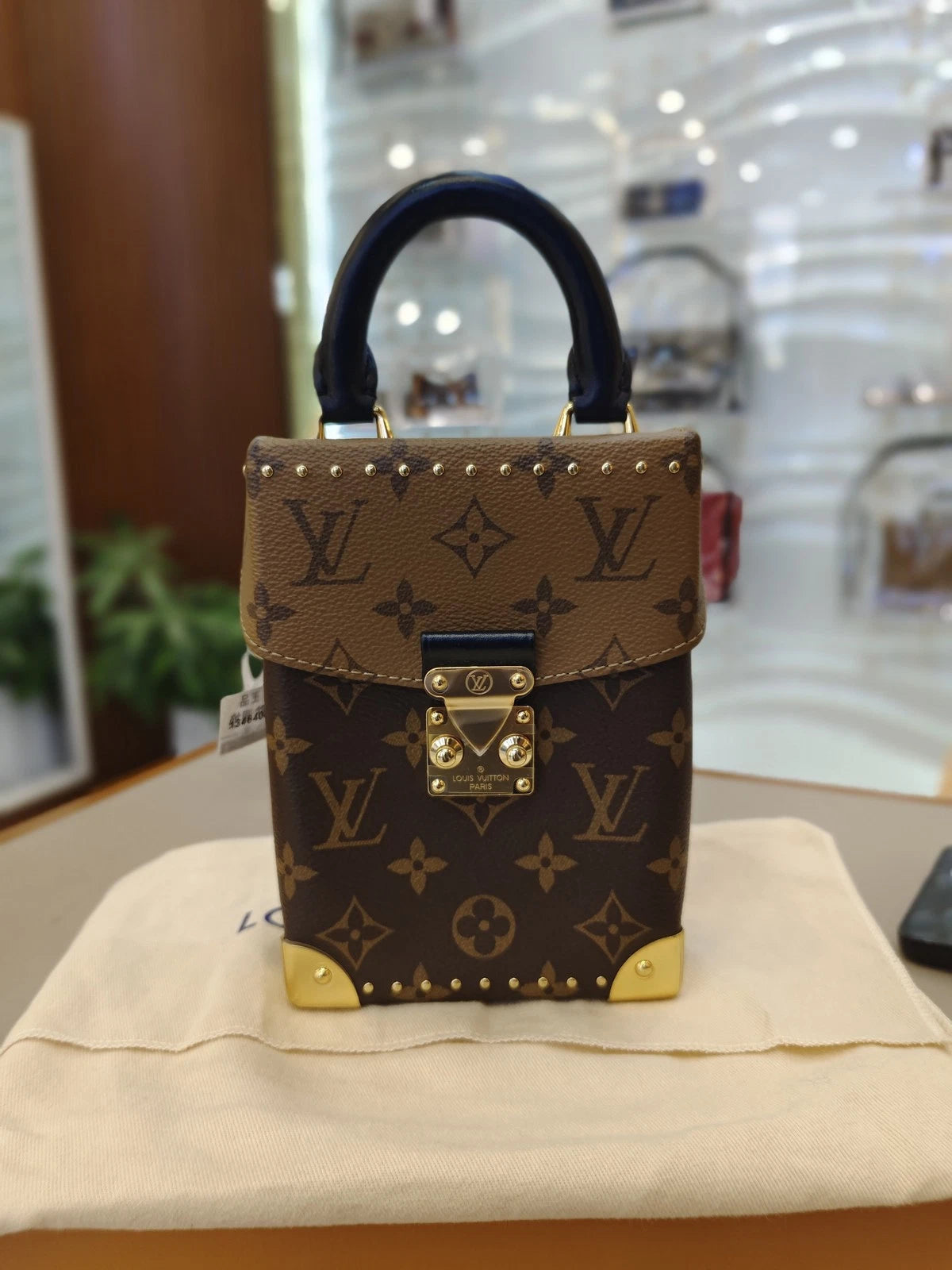 Louis Vuitton Monogram Canvas Camera Box Handbag For Women