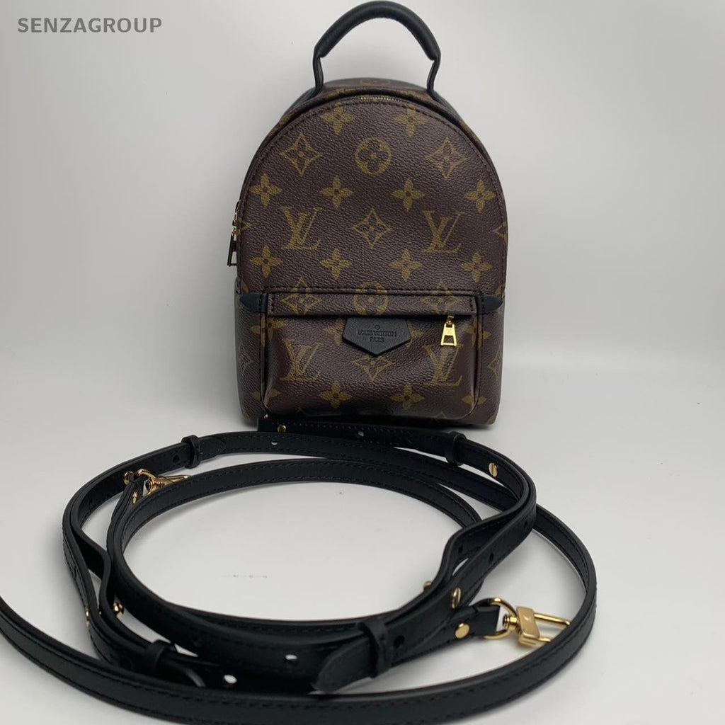 SJ0001 LV palm Spring mini backpack