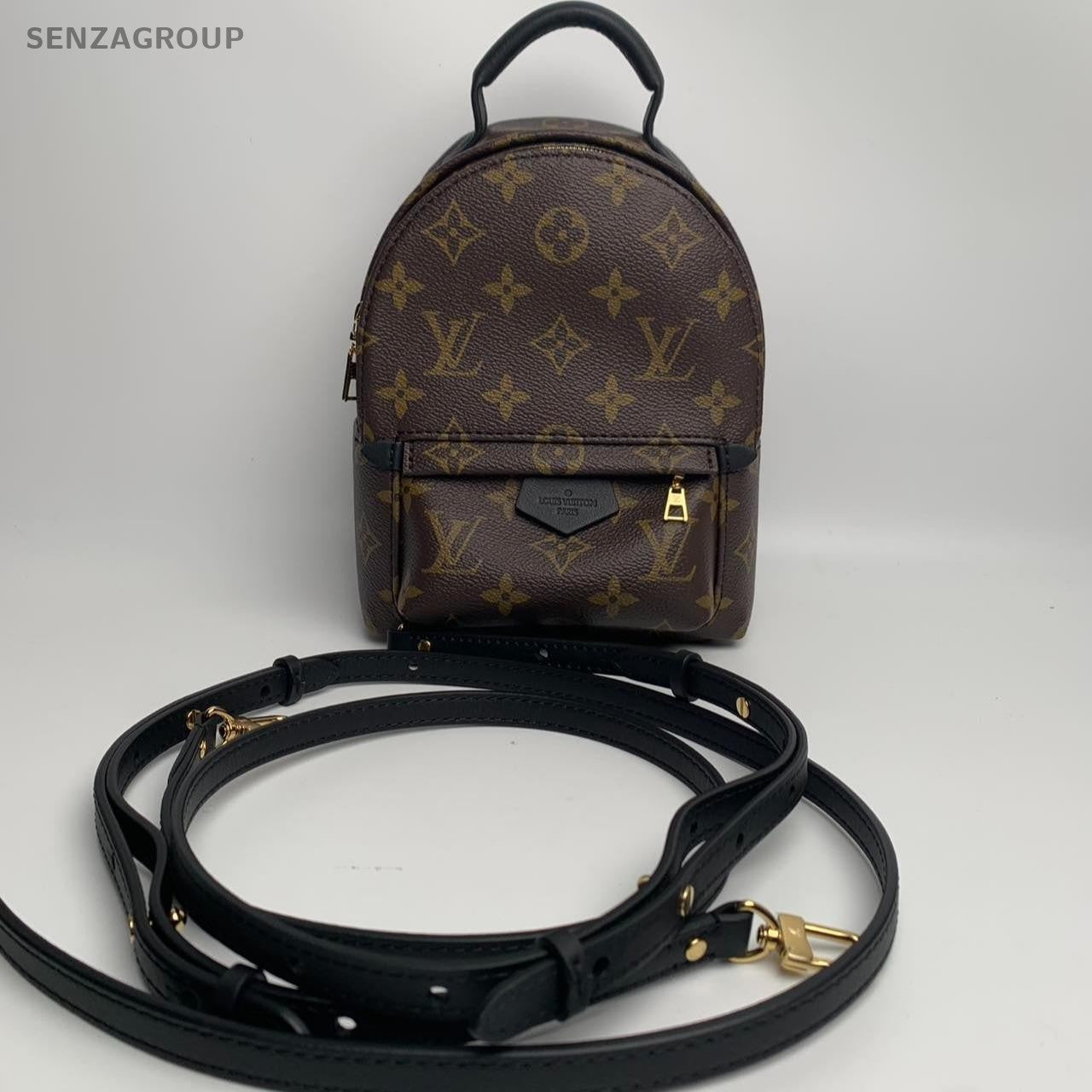 SJ0001 LV palm Spring mini backpack