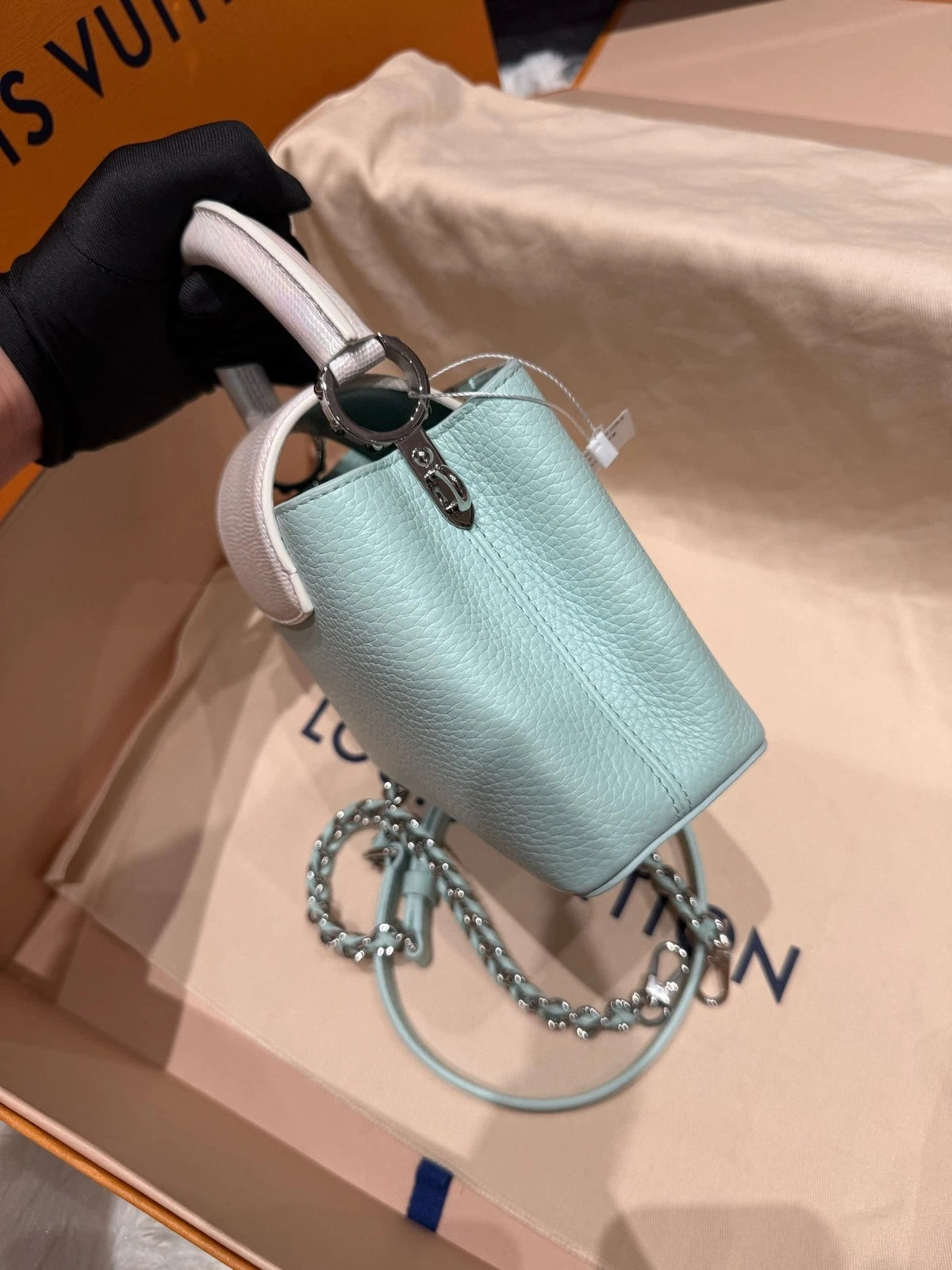 Louis Vuitton Capucines Mini Water Snake Leather Bag For Women