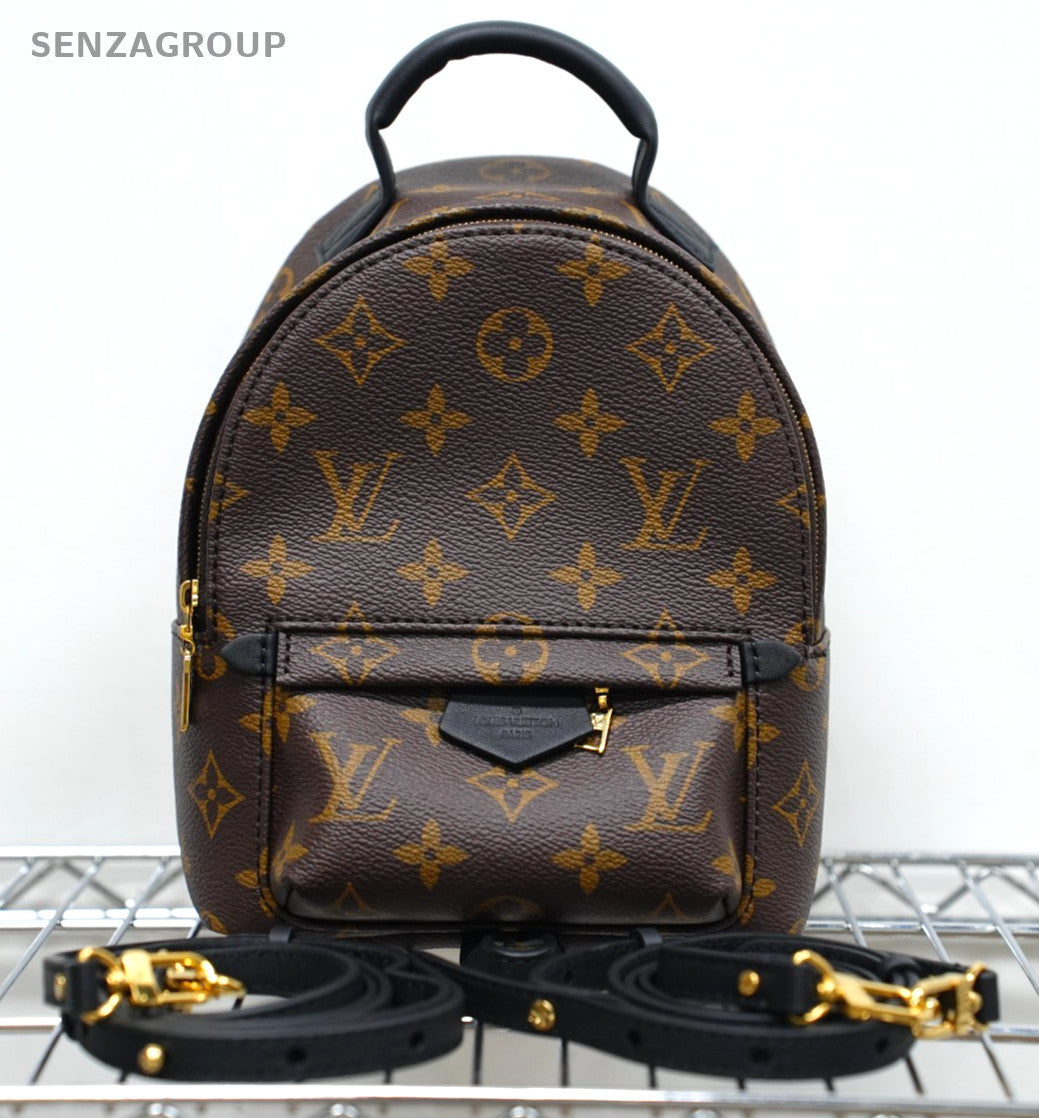 Louis Vuitton Palm Springs Backpack Shoulder bag Almost Brand NEW
