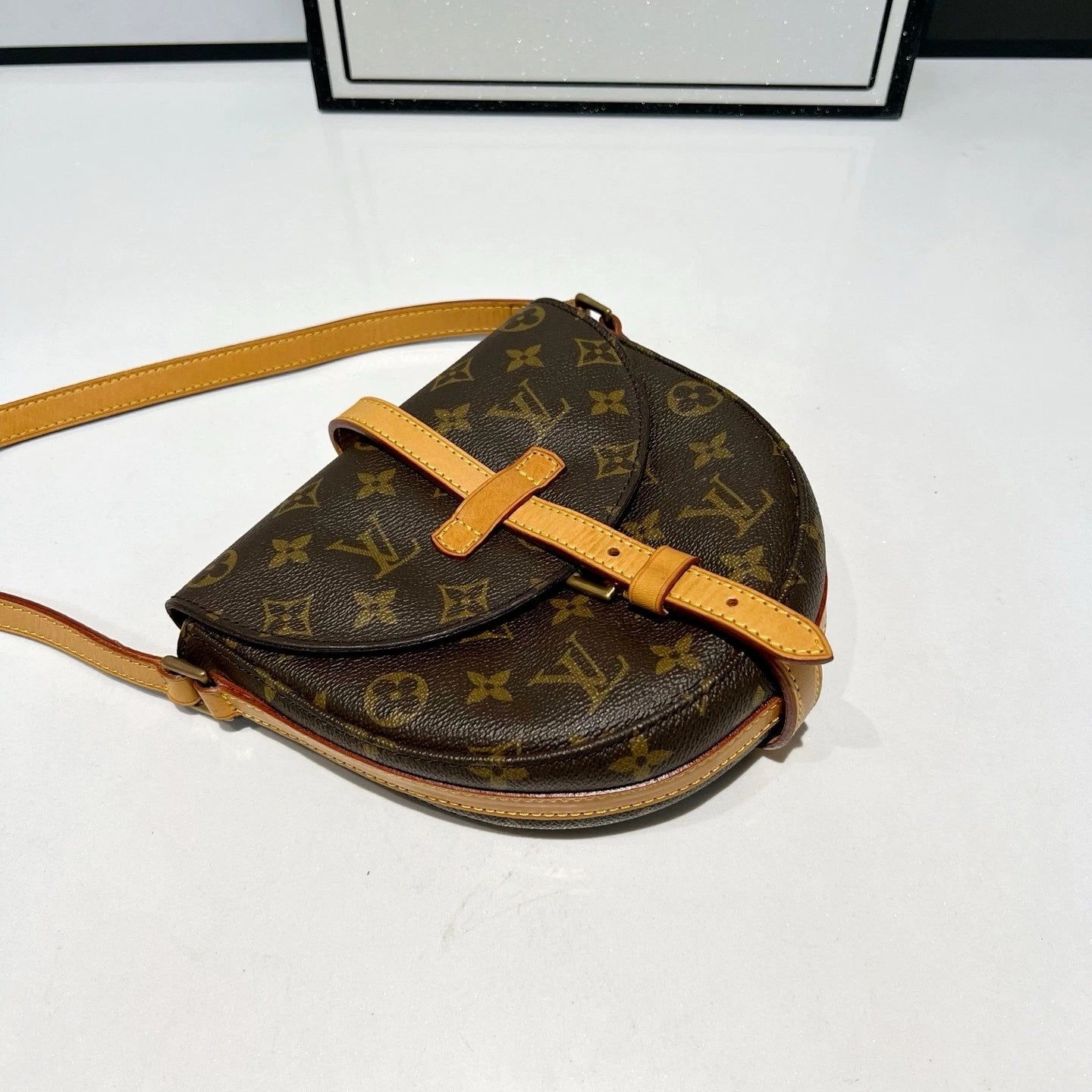 Louis Vuitton Canvas Shoulder Bag For Women