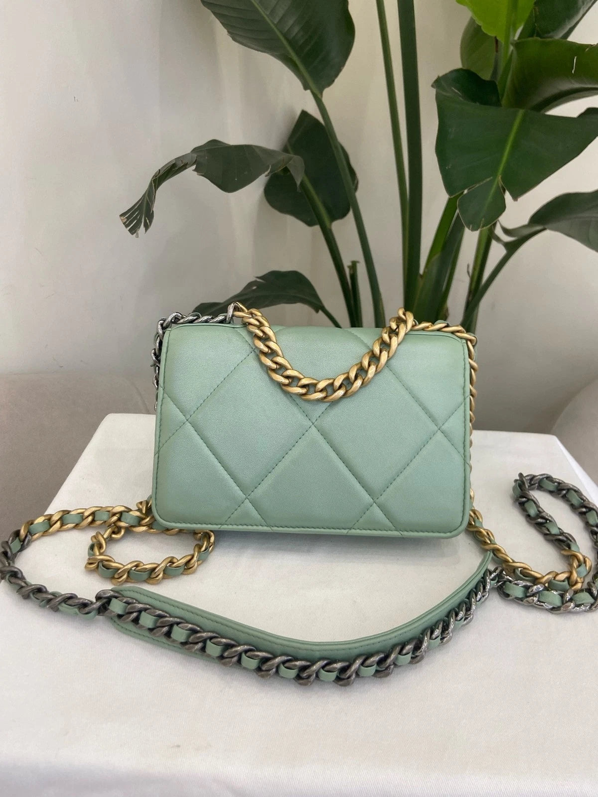 CHANEL Green Mermaid 19Bag WOC Crossbody Bag For Women