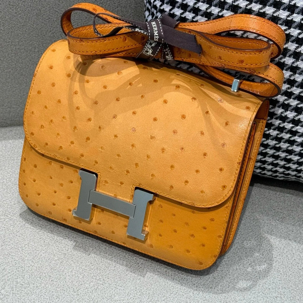 Hermes Constance19 Ostrich Beige Leather Crossbody For Women