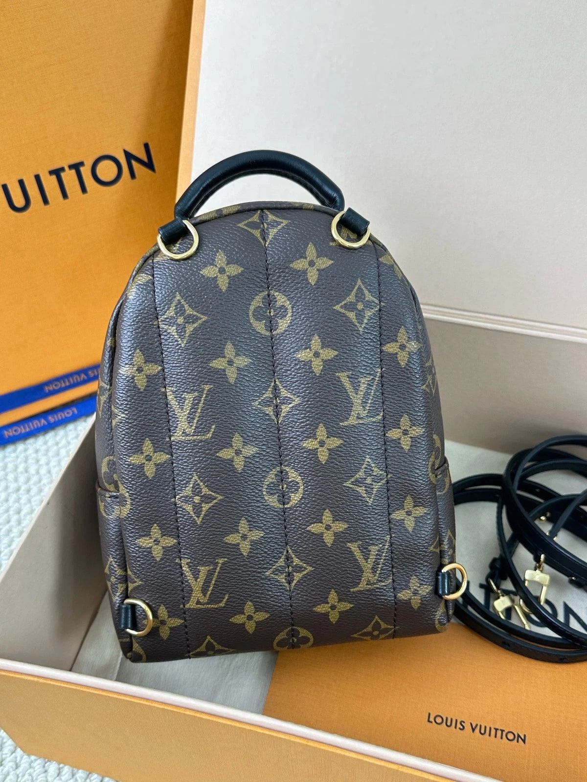 Louis Vuitton Monogram Canvas Mini Backpack For Women