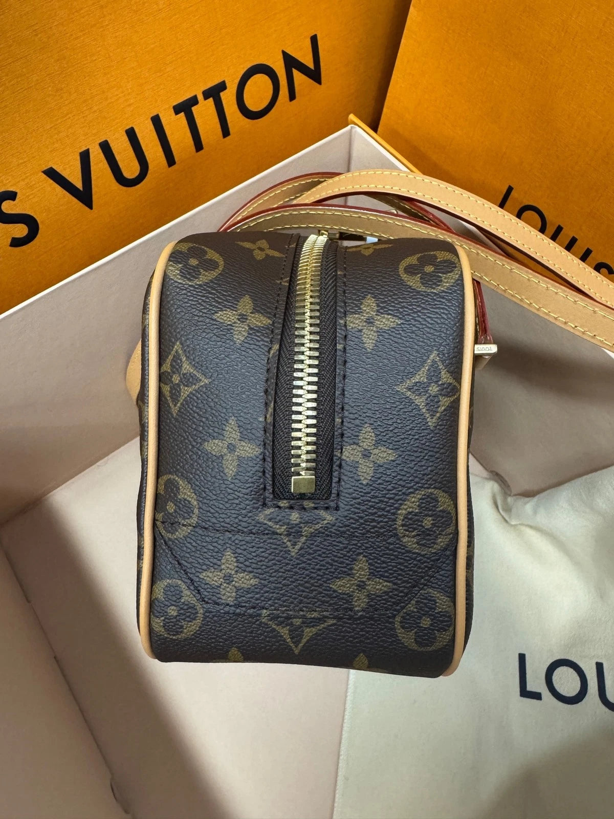 Louis Vuitton Women Canvas Open Smile Toast Tote Bag
