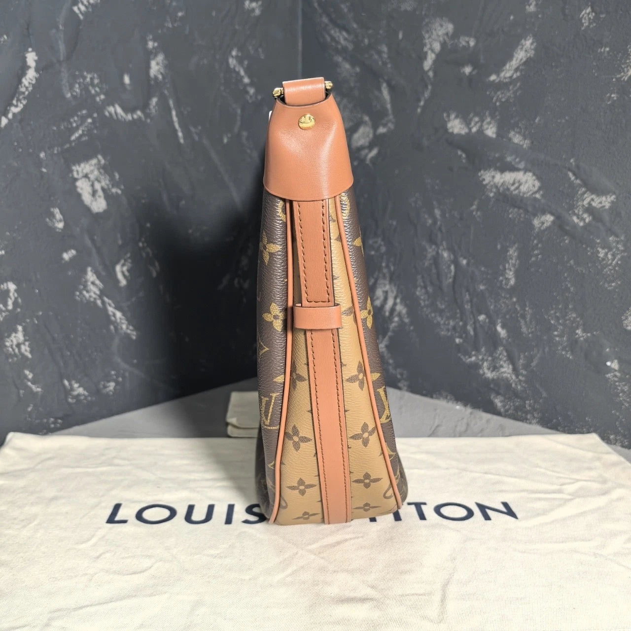Louis Vuitton Canvas Moon Shoulder Bag For Women