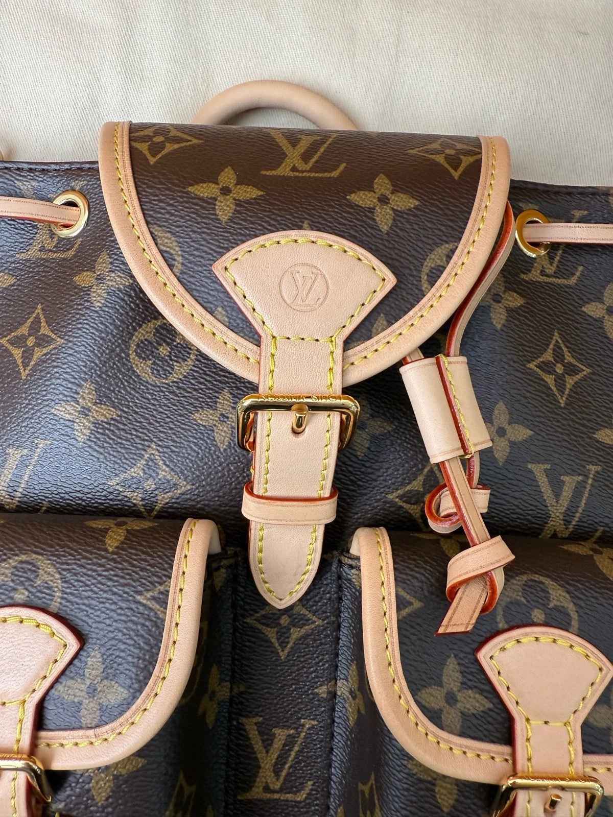 Louis Vuitton Canvas Excursion Backpack For Women