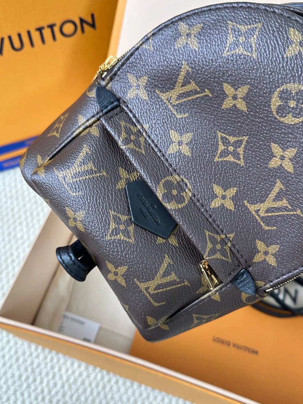 Louis Vuitton Monogram Canvas Mini Backpack For Women