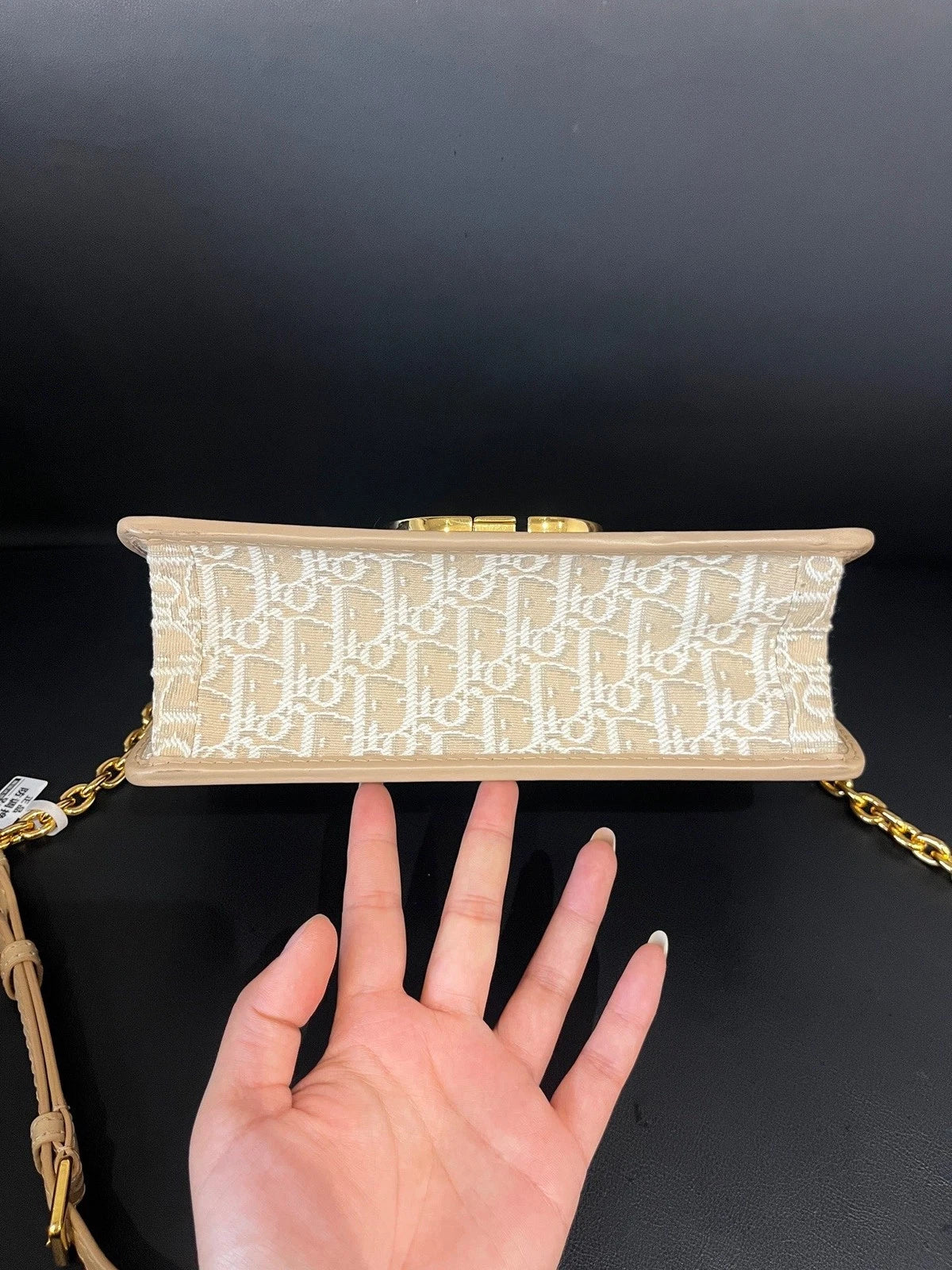Christian Dior 30 Montaigne Medium Crossbody Shoulder Bag Beige Oblique Canvas