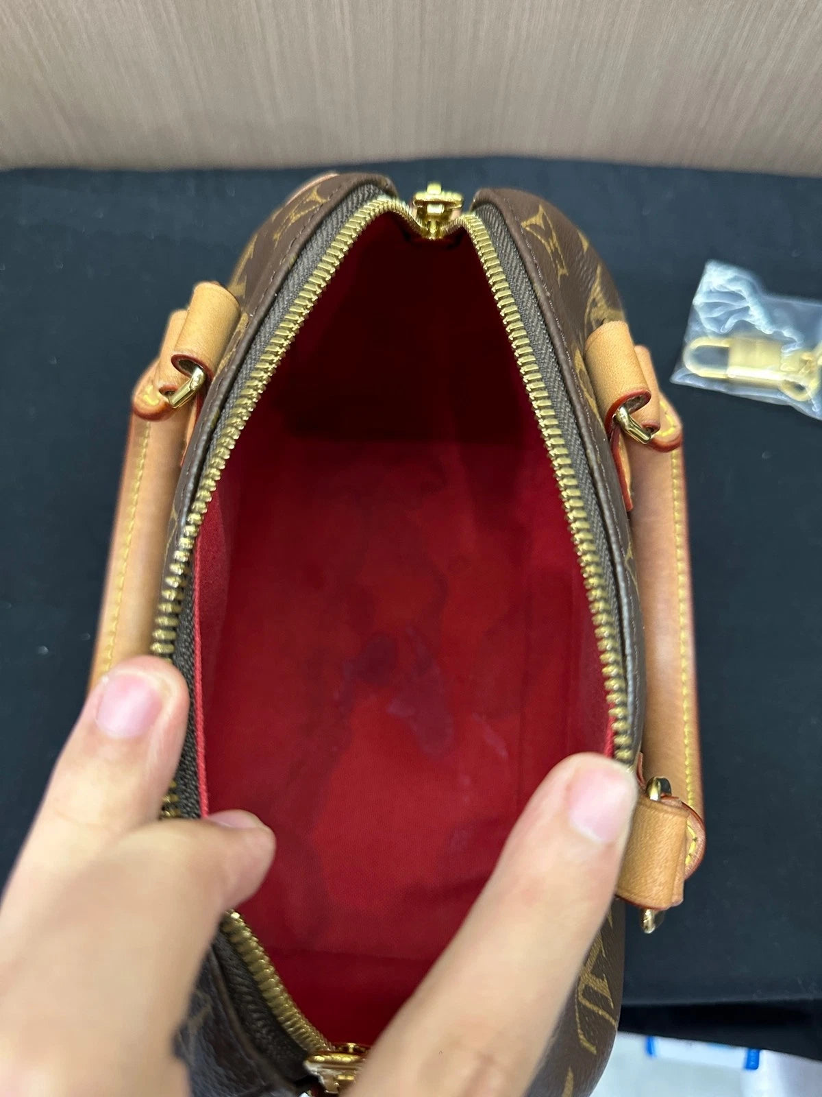 Louis Vuitton Speedy 20 Canvas Crossbody Bag For Women