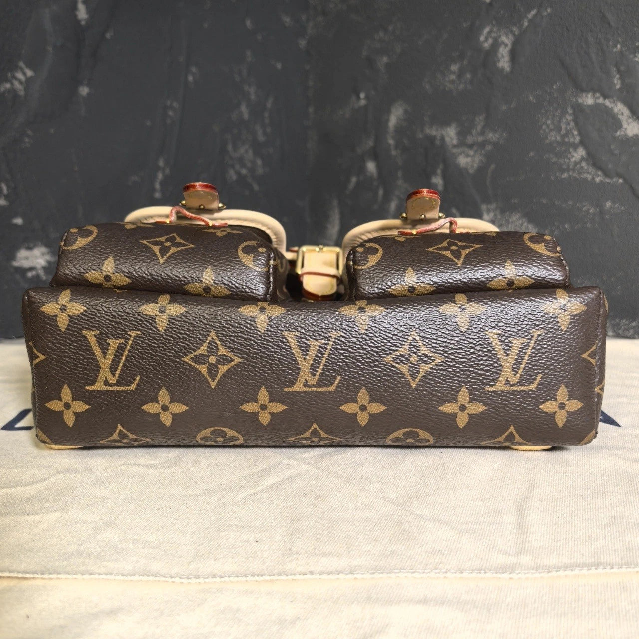 Louis Vuitton Canvas Frog Backpack For Women