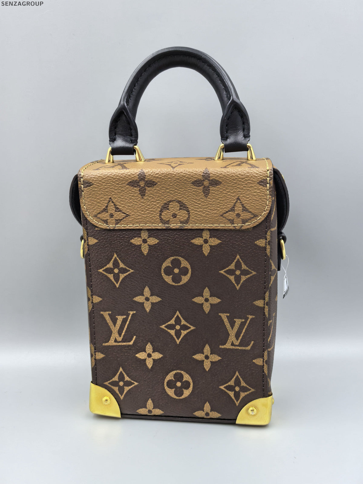 Louis Vuitton Monogram Camera Box Bag Brown Crossbody Shoulder Bag