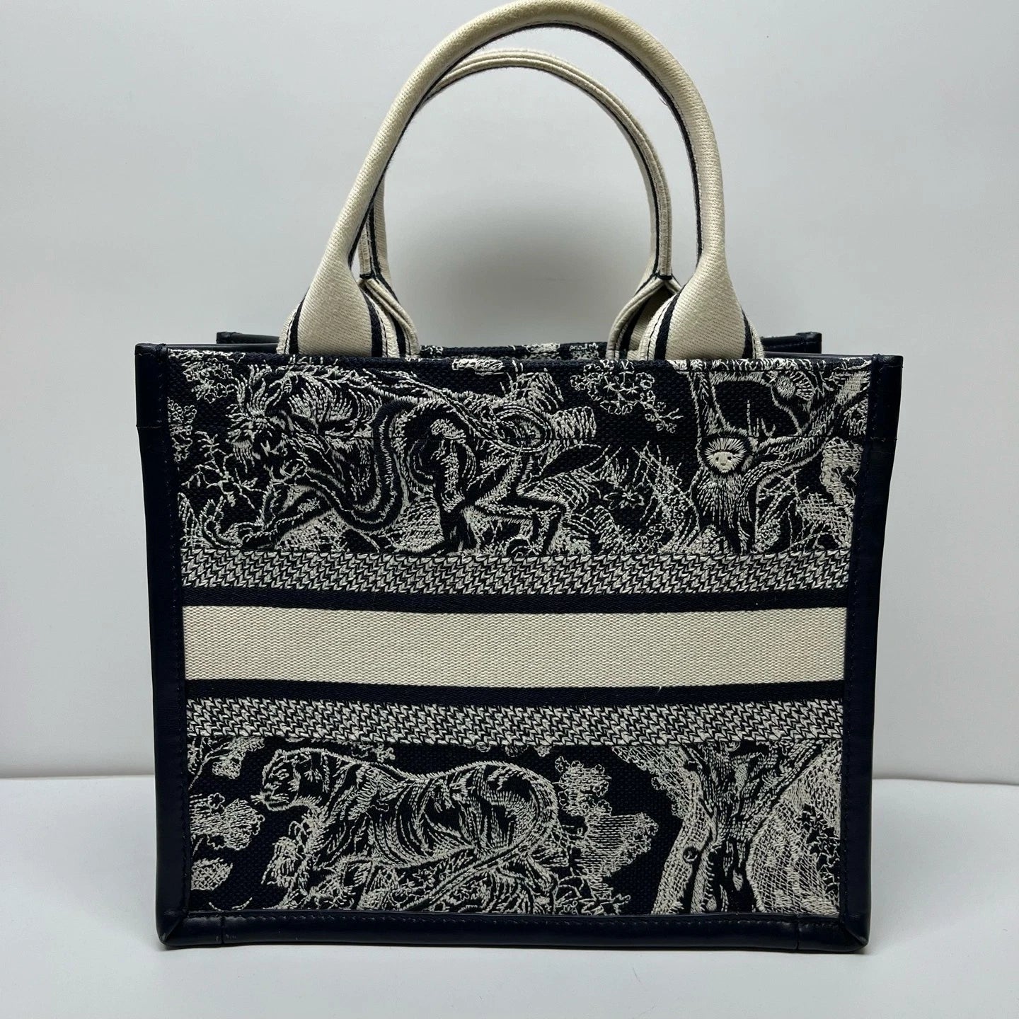 Dior 2024 Canvas Small Tote Bag Luxury Handbag For Women