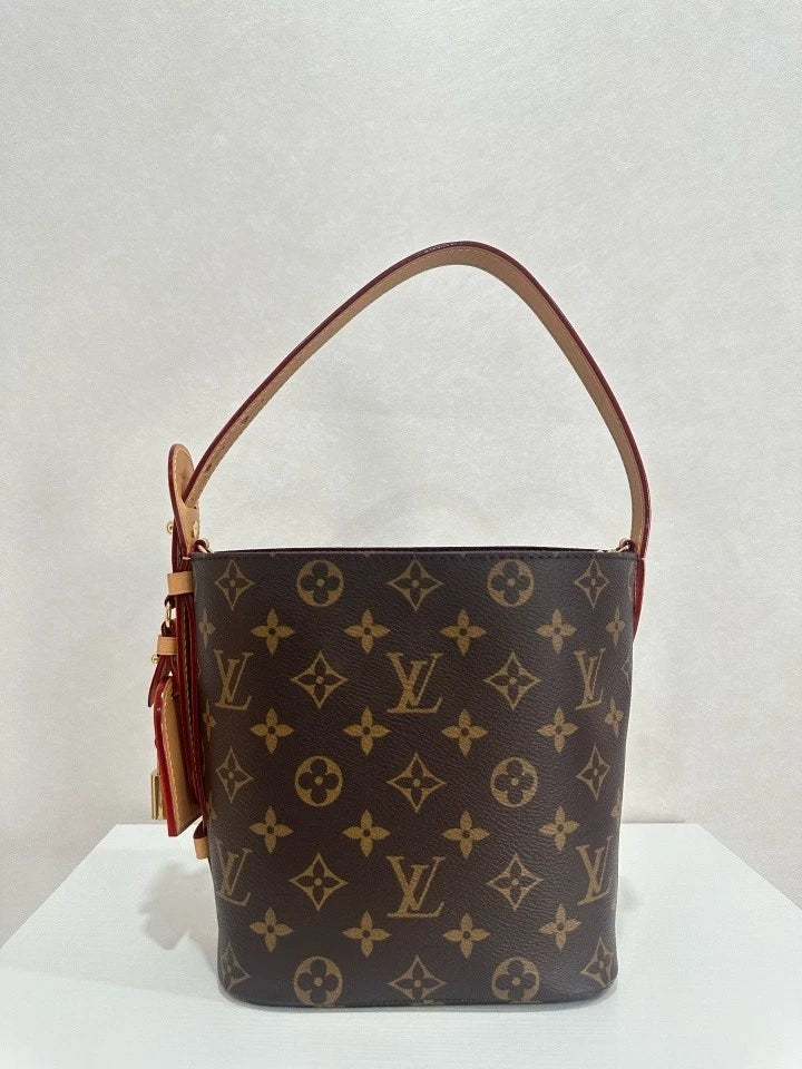 Louis Vuitton All In BB Small Bucket Canvas Bag For Women