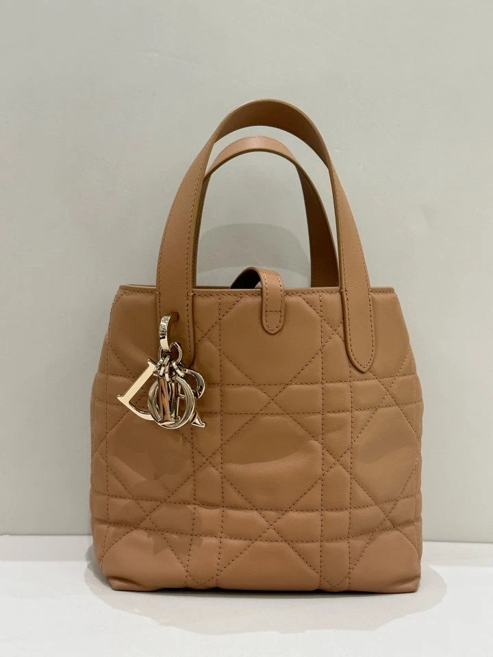 Dior Toujours Small Vertical Tote Top Handle Bag For Women