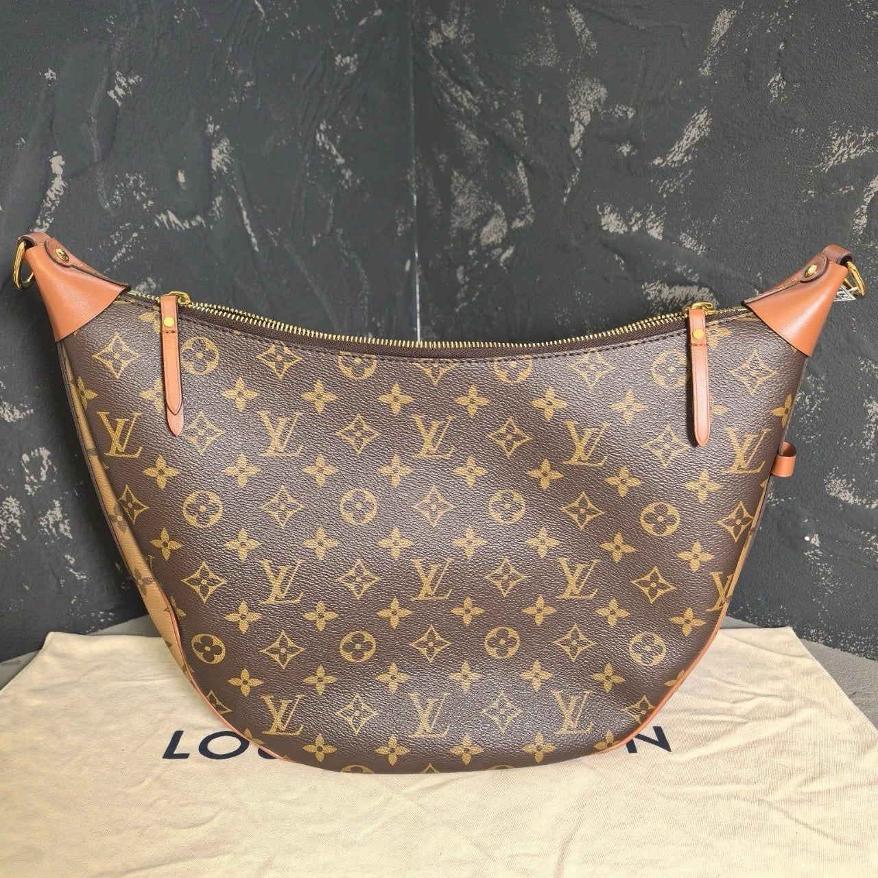 Louis Vuitton Canvas Moon Shoulder Bag For Women