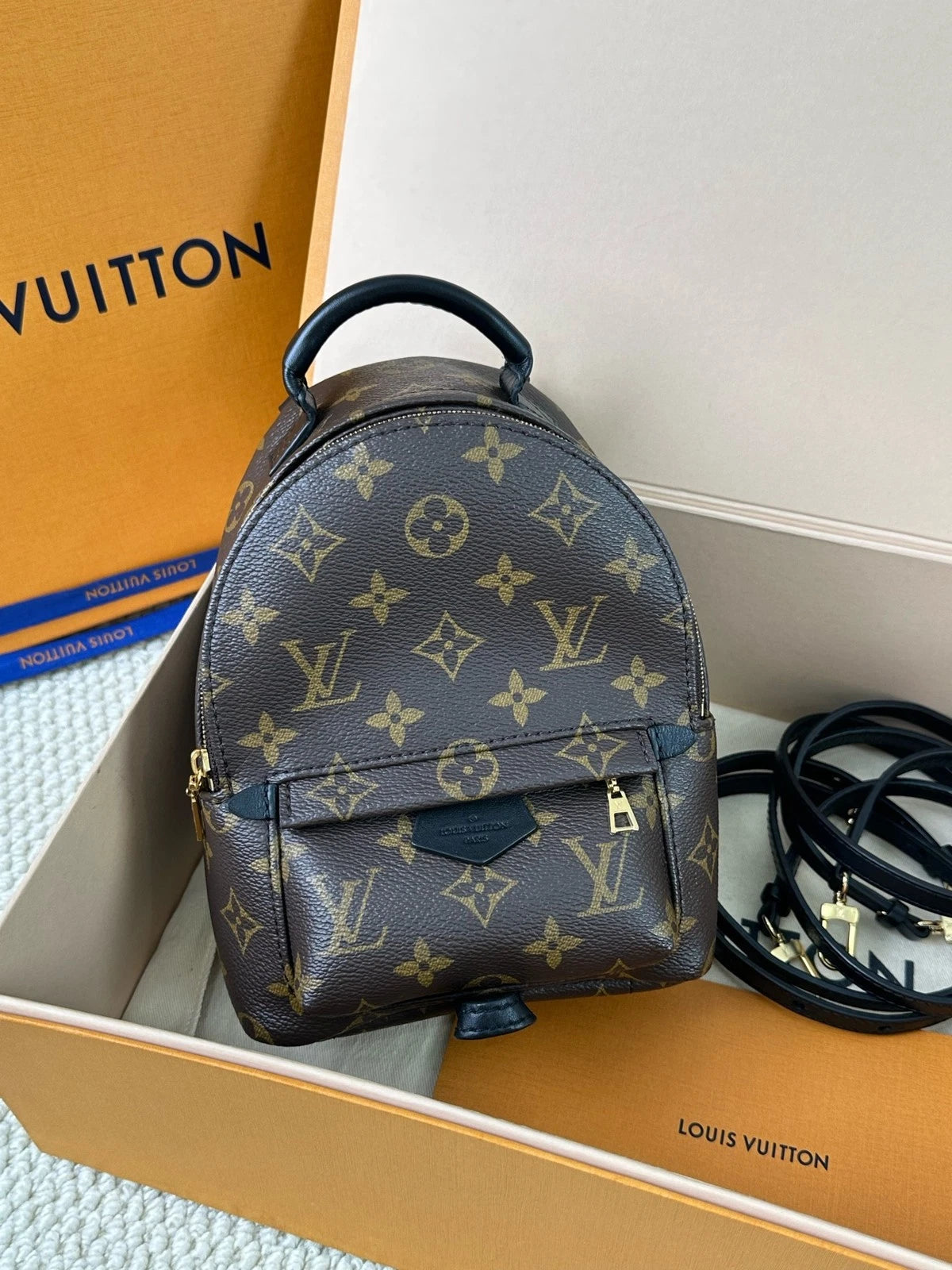 Louis Vuitton Monogram Canvas Mini Backpack For Women