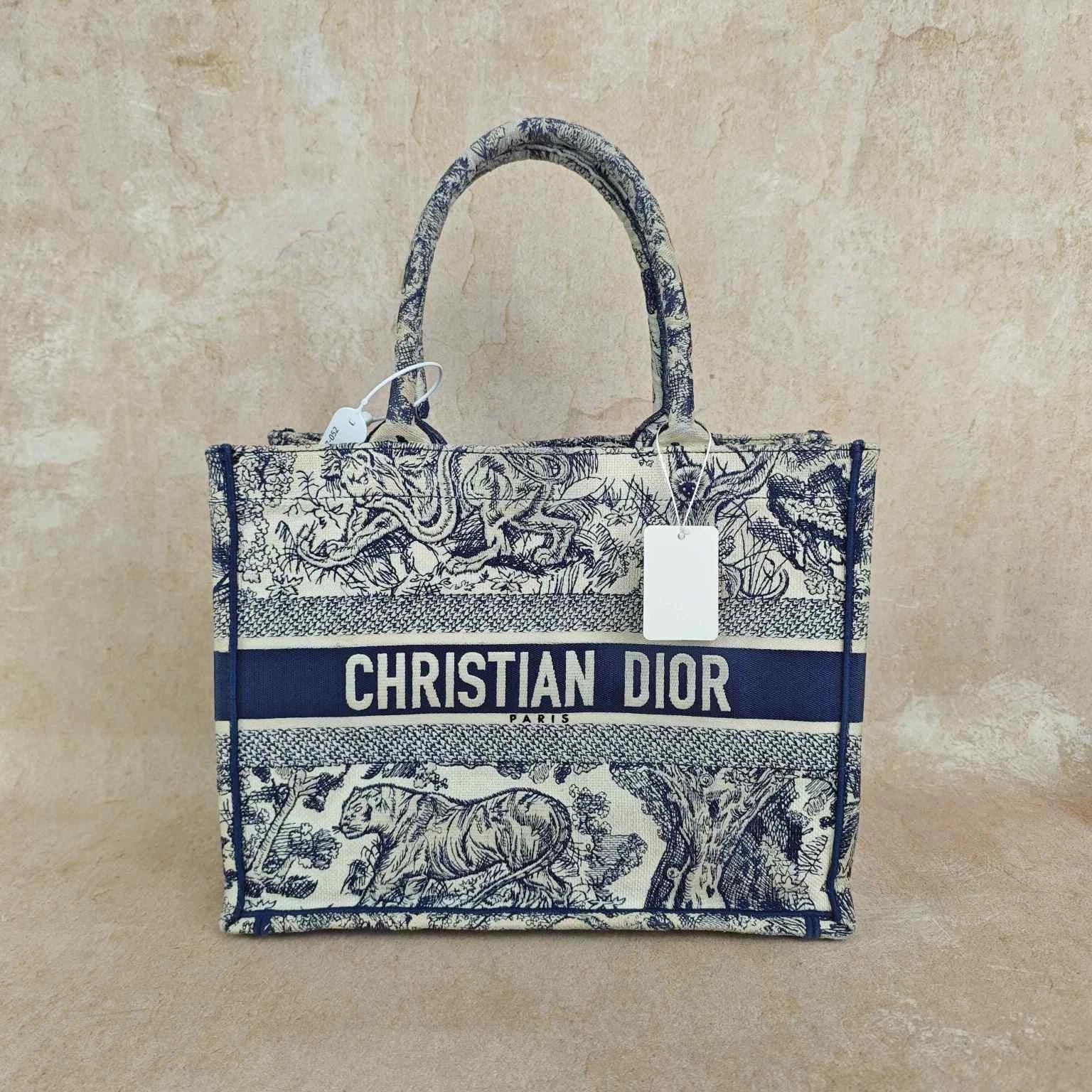 Dior Embroidered Canvas Medium Book Tote Handbag For Women