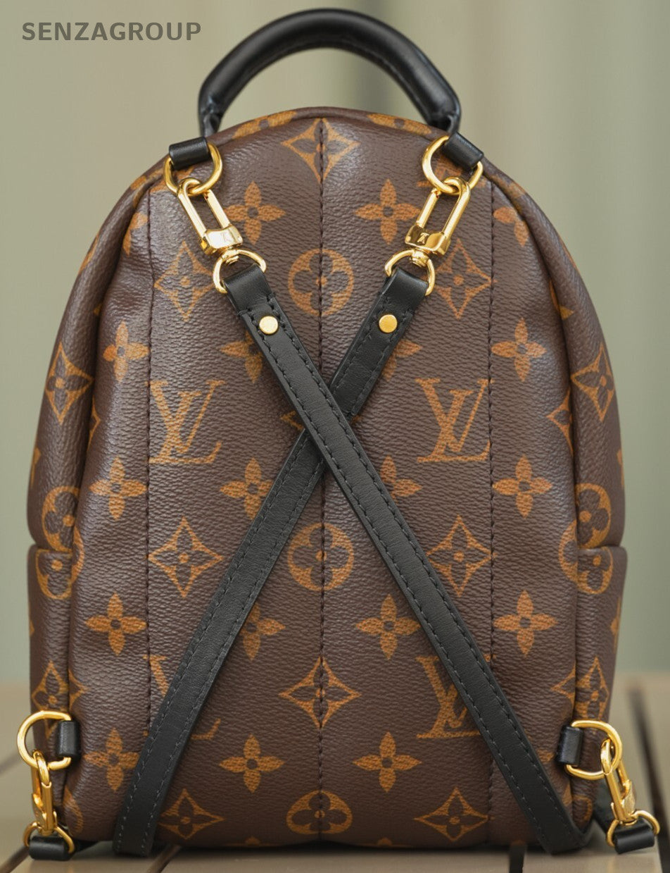 Louis Vuitton Palm Springs Backpack Mini  Canvas M44873