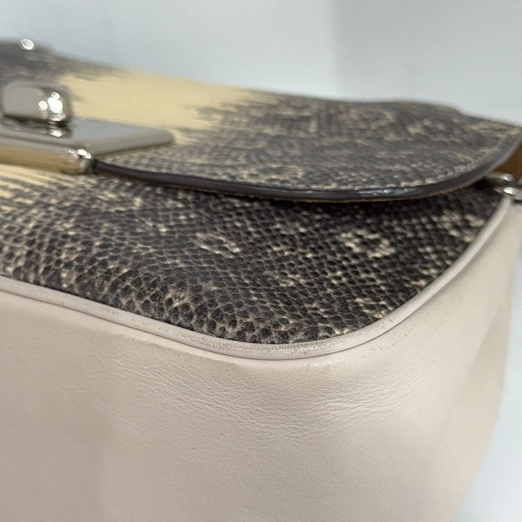 Coach 2019 Limited Lizard Pattern Chain Shoulder Crossbody Bag For Women