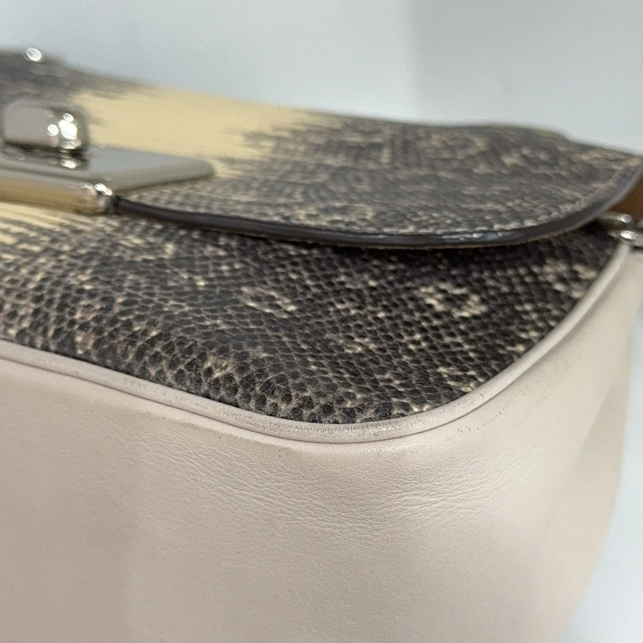 Coach 2019 Limited Lizard Pattern Chain Shoulder Crossbody Bag For Women