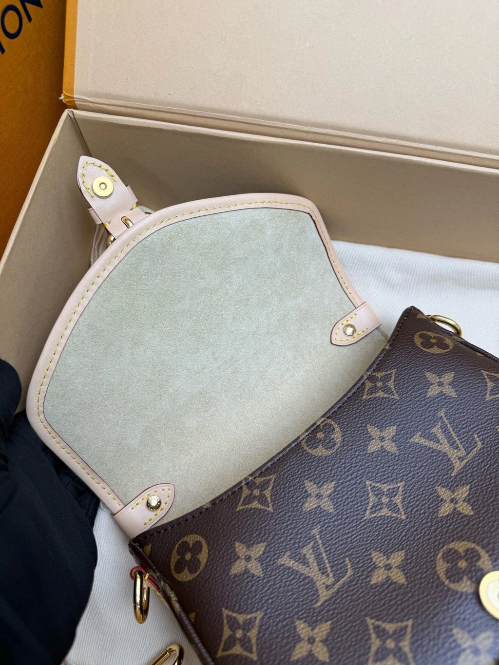 Louis Vuitton Canvas Twin Shoulder Bag For Women