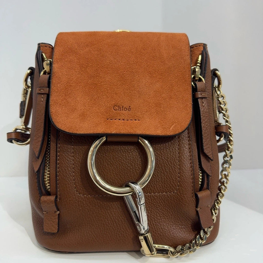 Chloe Faye Mini 2-way Backpack Suede Calfskin Shoulder Handbag For Women
