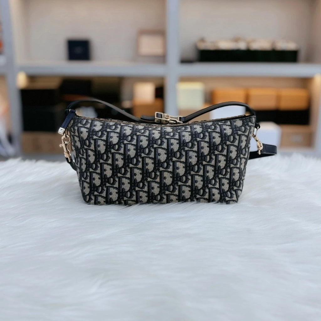 Dior Oblique Embroidered Canvas Lunch Box Bag For Women