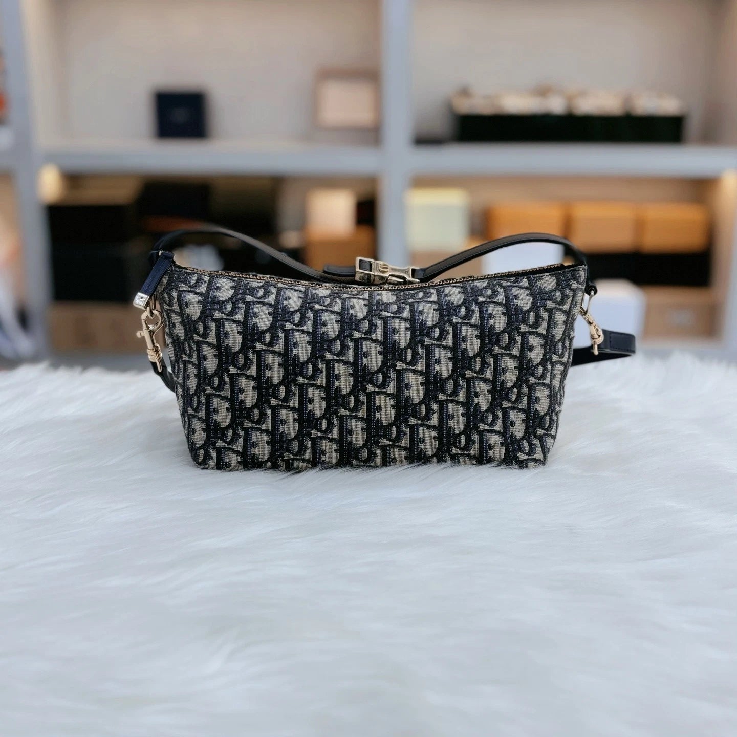 Dior Oblique Embroidered Canvas Lunch Box Bag For Women
