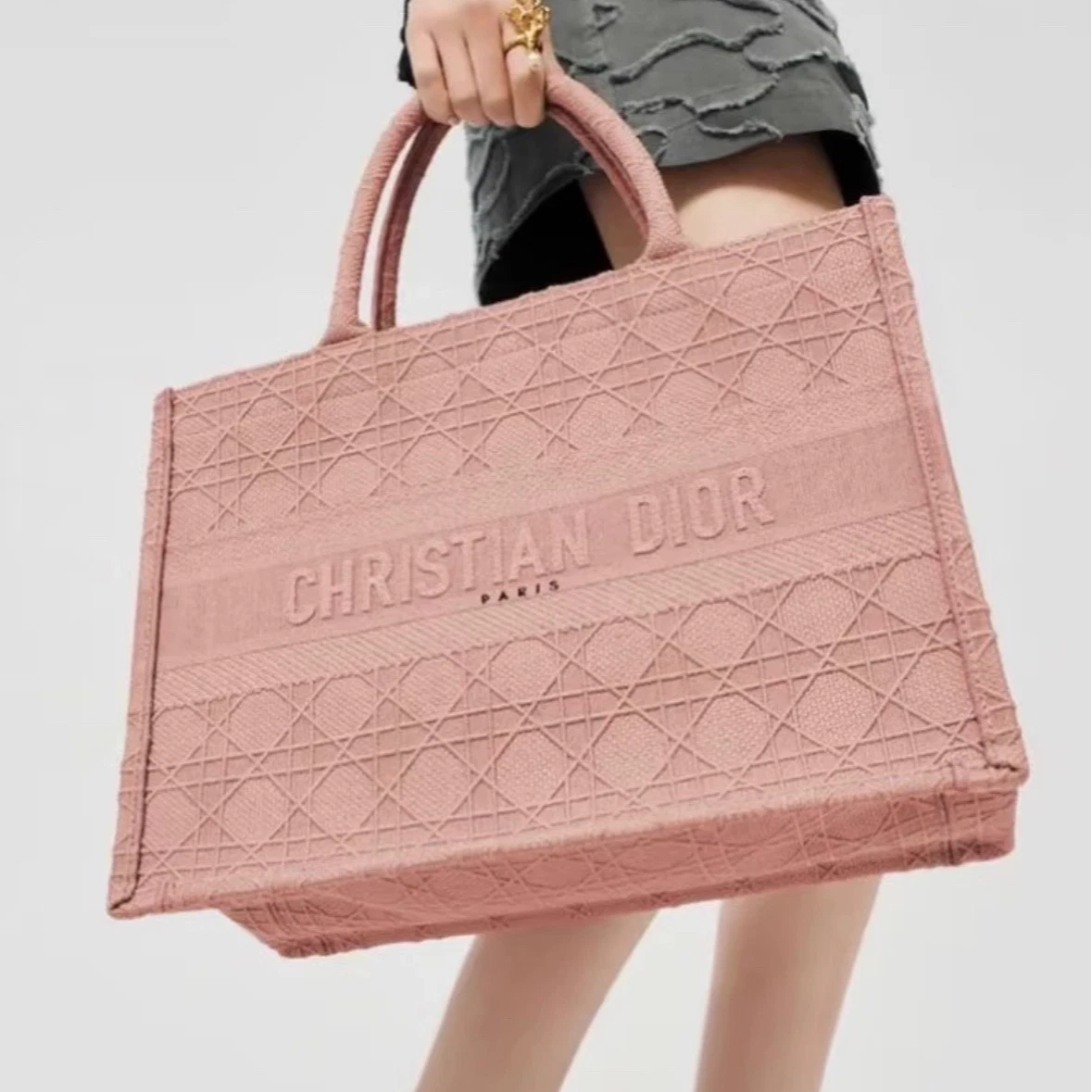Dior Book Tote Canvas Pink Handbag Tote Bag Excellent