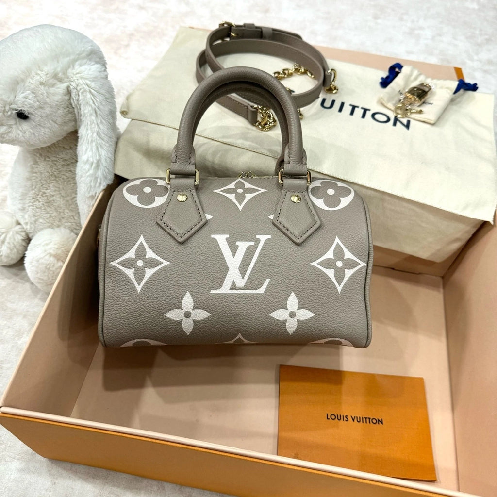 Louis Vuitton Speedy 20 Canvas Gray Handbag Top Handle Excellent