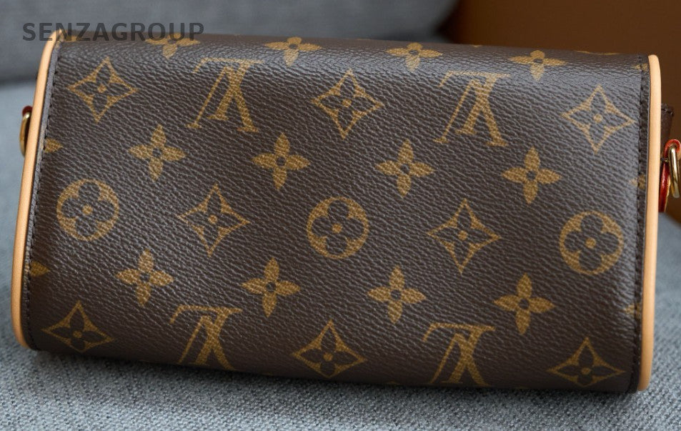Louis Vuitton Pochette Camille Monogram Chain Crossbody Bag Brown Women Classic