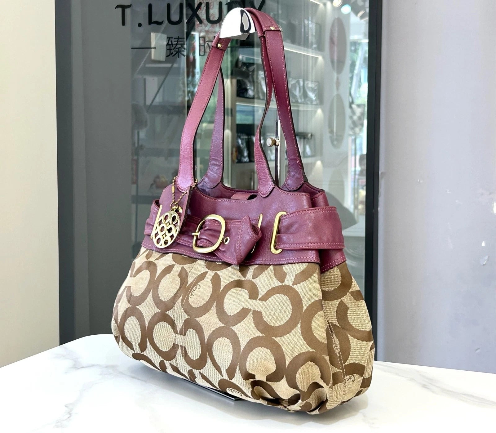 COACH Classic Print Purple Leather Cloud Shoulder Bag For Women