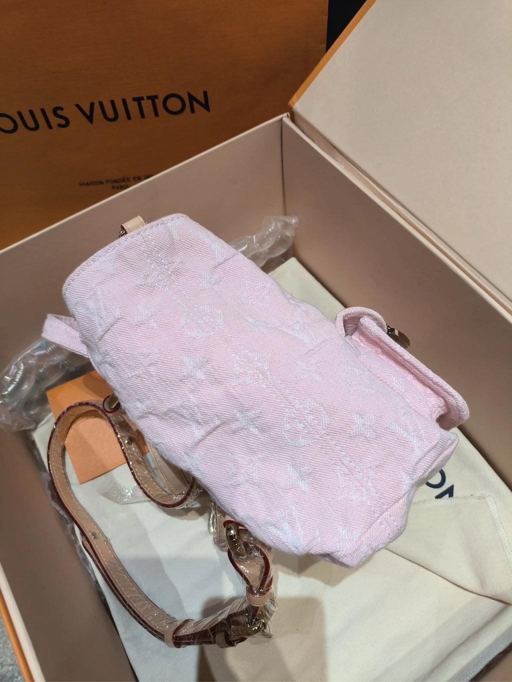 Louis Vuitton Venice Pink Denim Backpack for Women