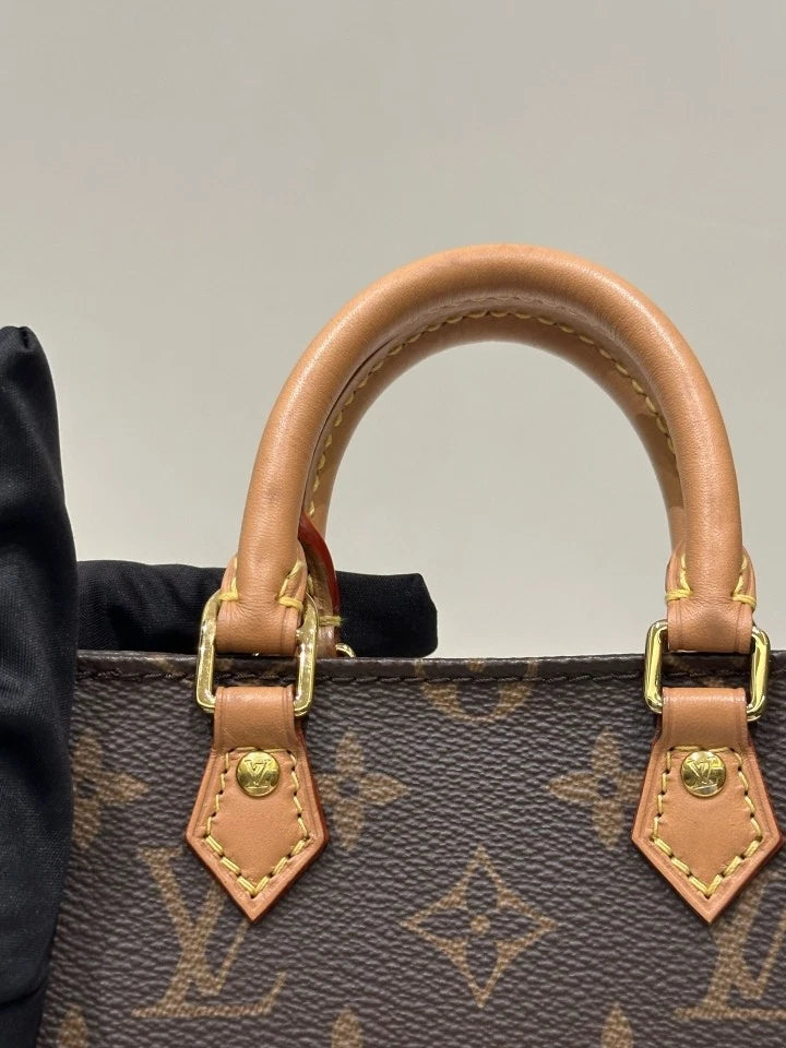 Louis Vuitton Plat Mini Canvas Tote Bag For Women