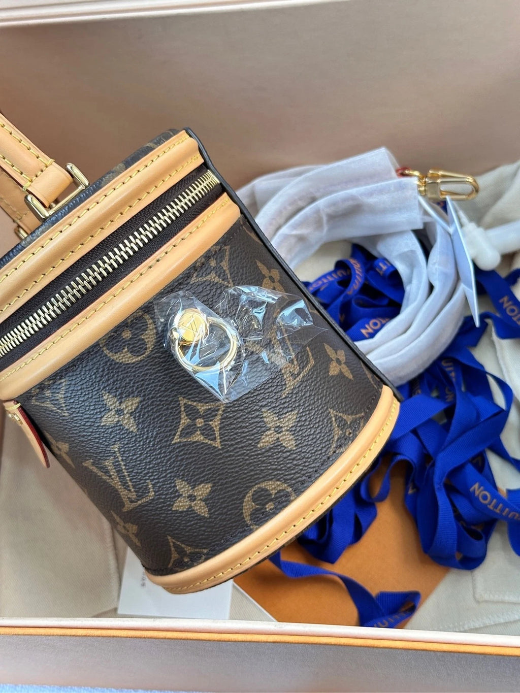 Louis Vuitton Cannes Monogram Canvas Mini Bucket Bag