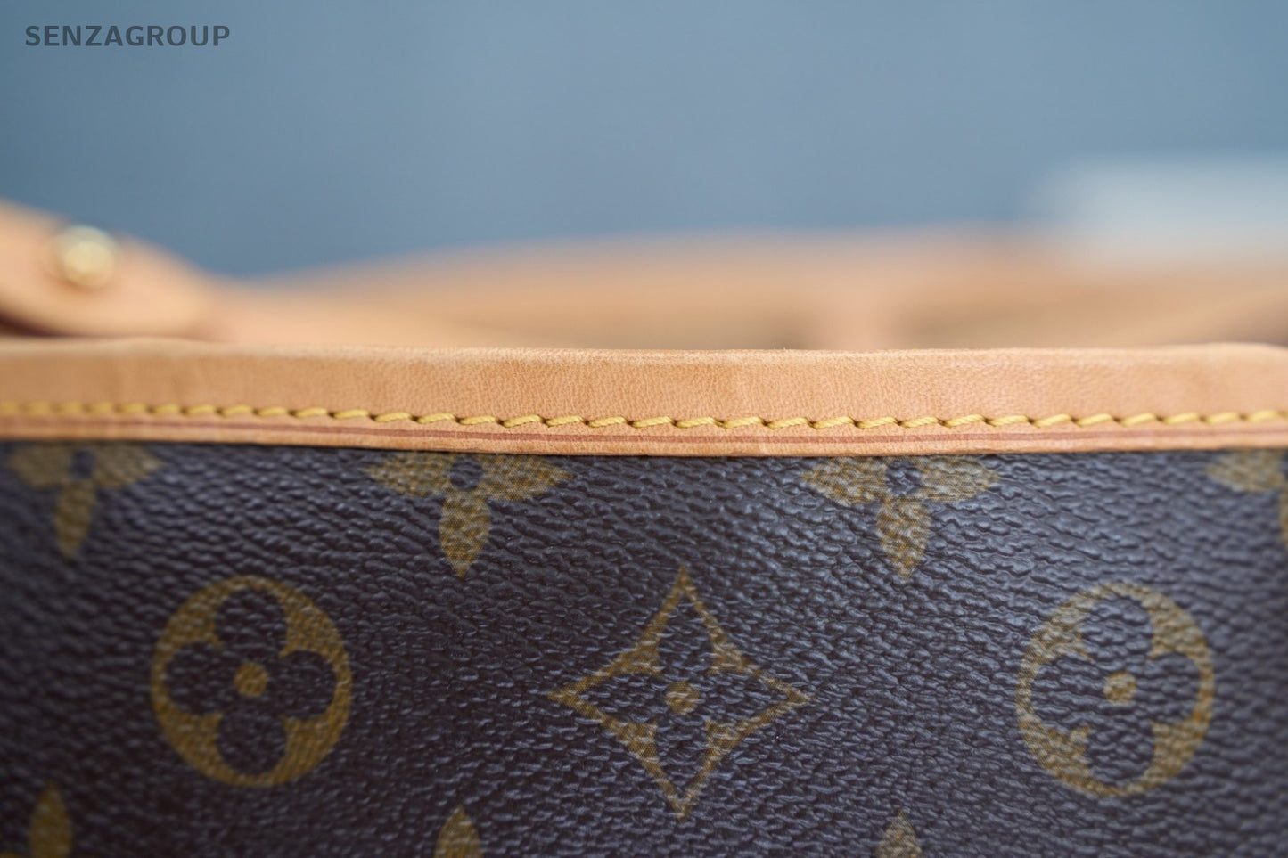 Louis Vuitton Delightful PM Monogram Leather Shoulder Bag Brown Women