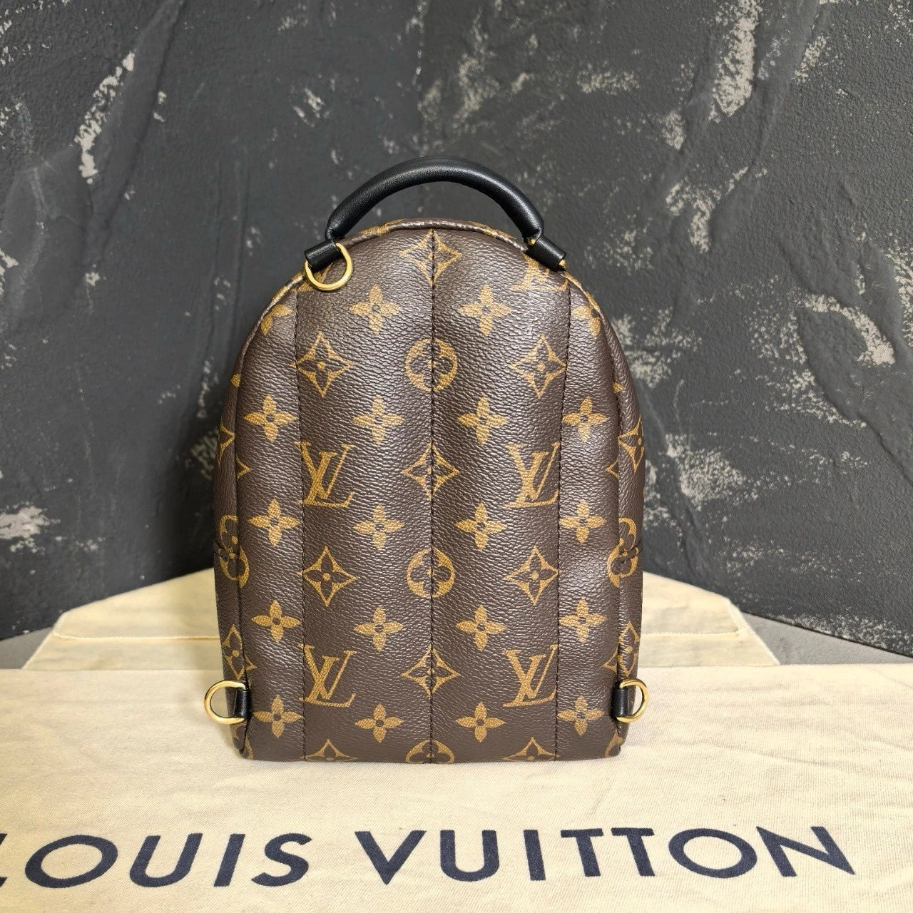 Louis Vuitton Canvas Mini Backpack for Women