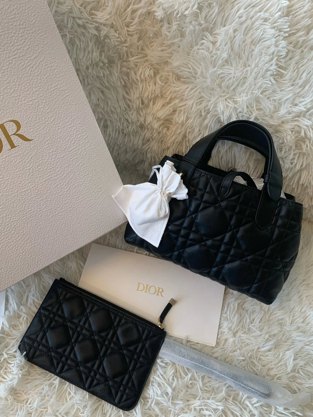 Dior Toujours Small Horizontal Black Tote Bag For Women