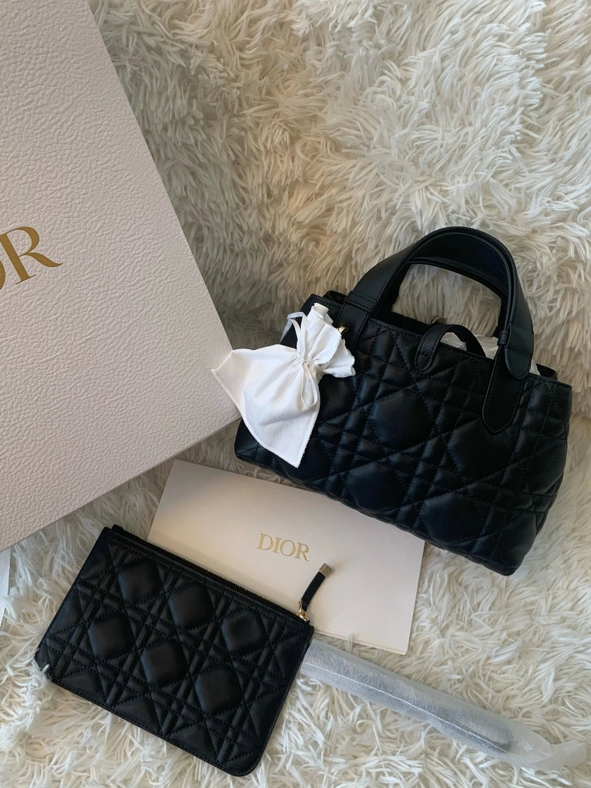 Dior Toujours Small Horizontal Black Tote Bag For Women