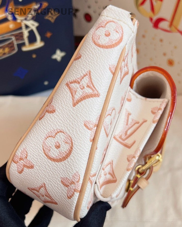 Louis Vuitton Maxi multi pochette 22 Shoulder bag Crossbody 2WAY Almost Bran new