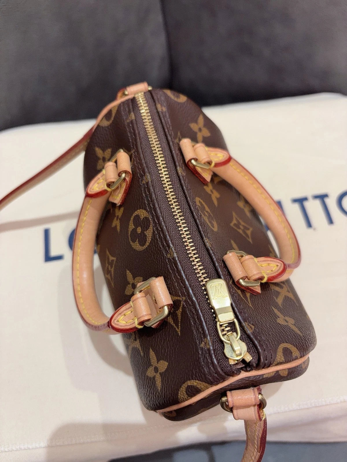 Louis Vuitton Speedy Nano Top Handle Shoulder Crossbody Bag Brown Women