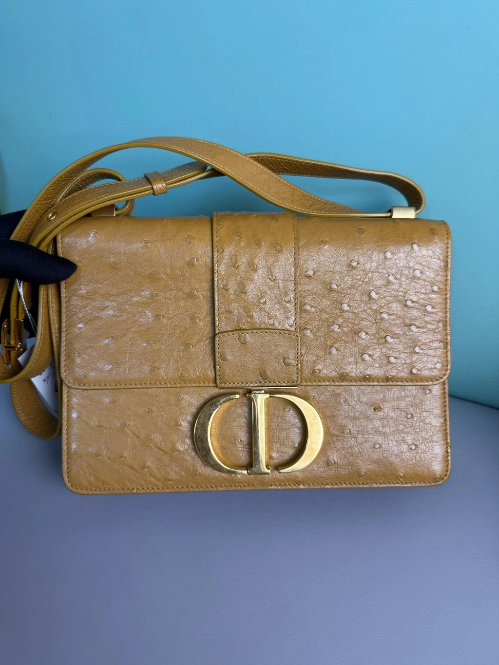 Dior Montaigne30 Ostrich Leather Top Handle Bag For Women