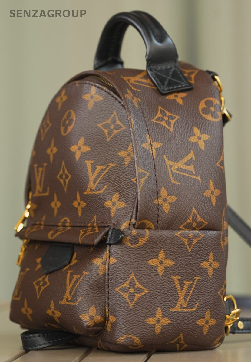 Louis Vuitton Palm Springs Backpack Mini  Canvas M44873